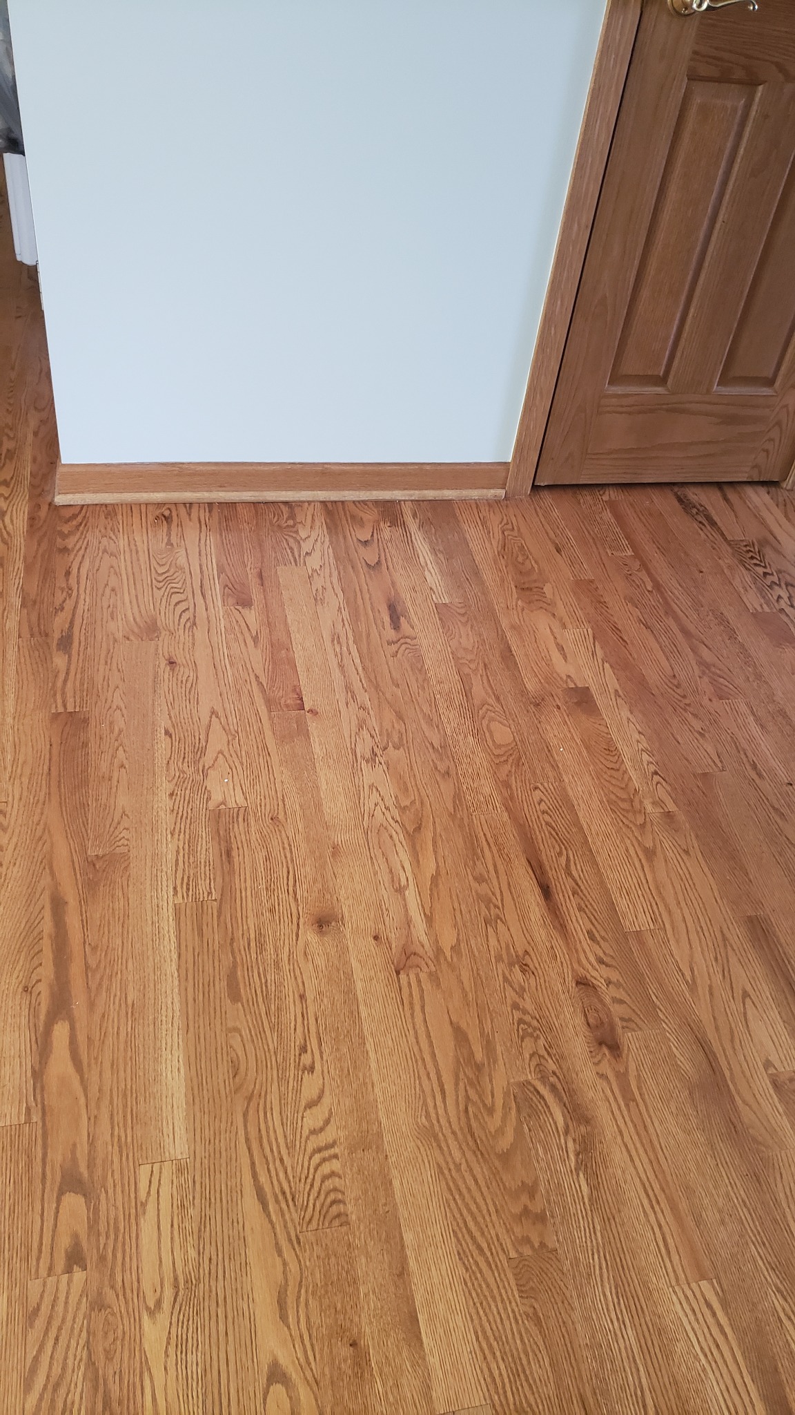 A close-up of the floor at a door and skirting.